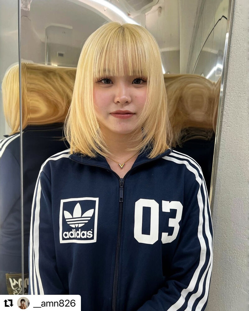 ブログ